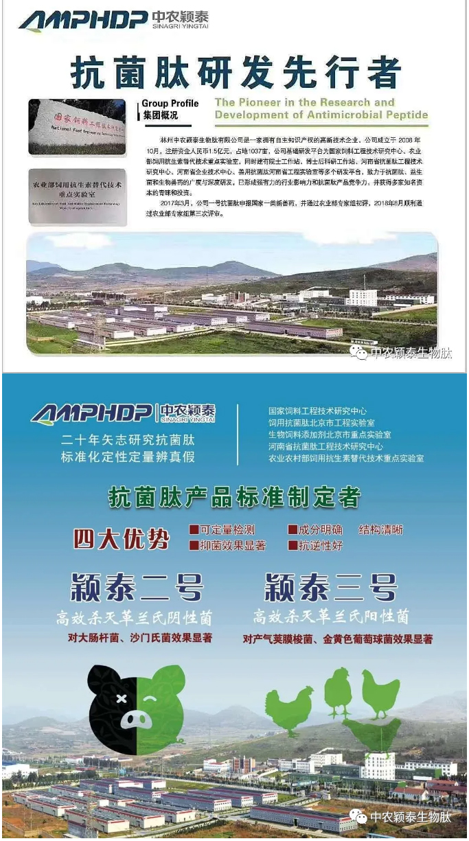 2022꣨1ڣ_ũӱ̩2022´_03