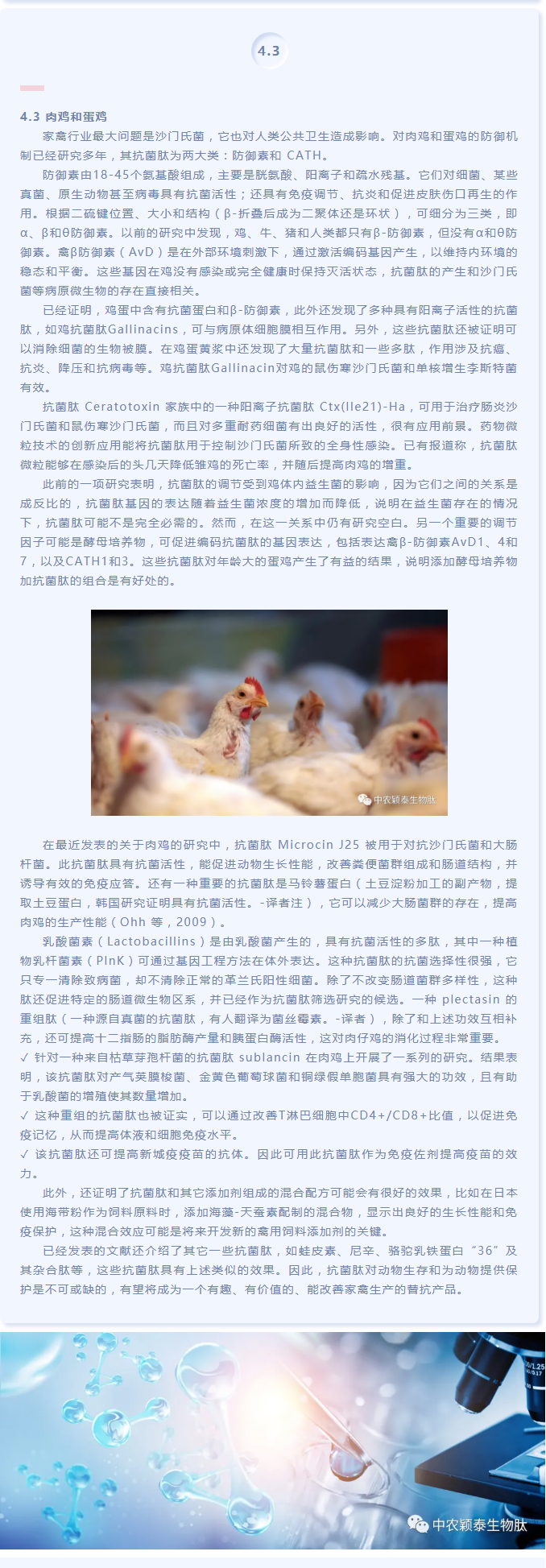Ϊ濹ӼԶʳƷȫ͹Ӱ£_03