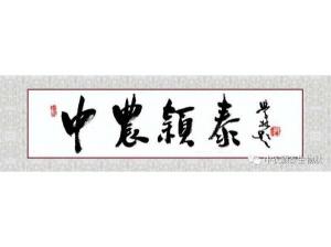 2021꣺̬ũӱ̩˳