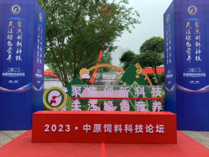۽¿ƼעɫӪũӱ̩2023ԭϿƼ̳